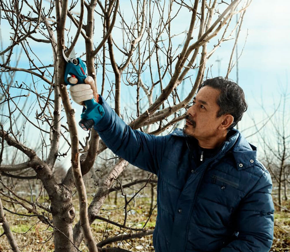 Foarfece cu acumulator BOSCH Pro Pruner (6019K1021) 12V 3Ah-4