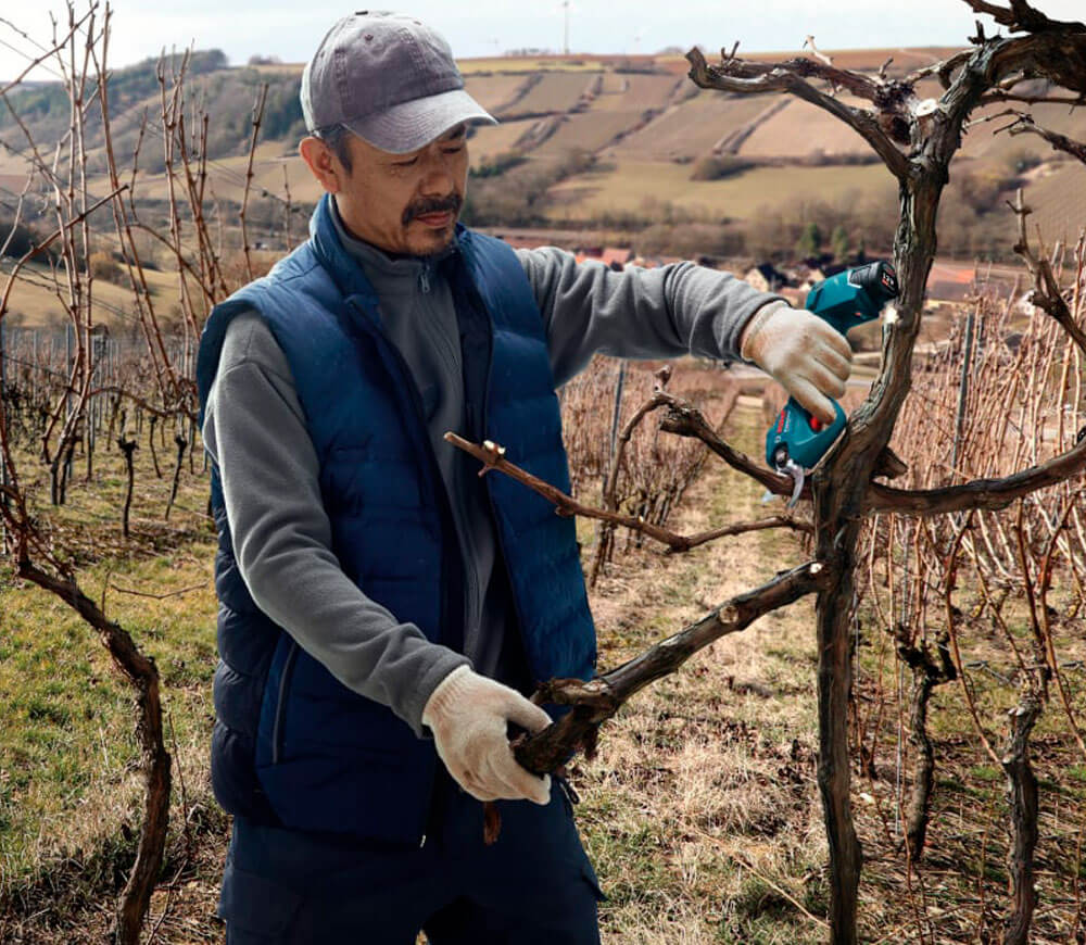 Foarfece cu acumulator BOSCH Pro Pruner (6019K1021) 12V 3Ah-5