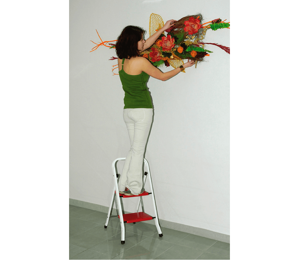 Scară unilaterală ELKOP ORW 2 0.45m 150kg-3