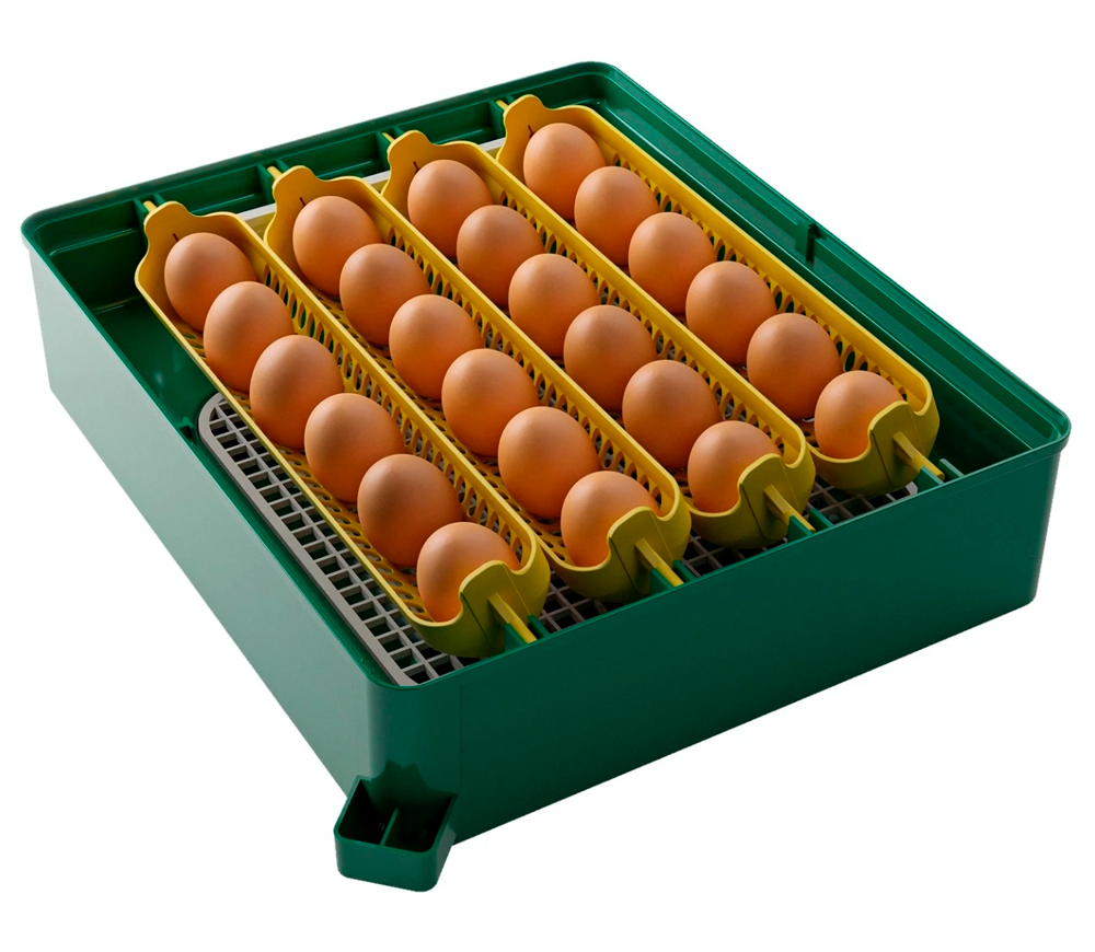 Incubator Demetra EU PROFI C-24 24 de ouă-2