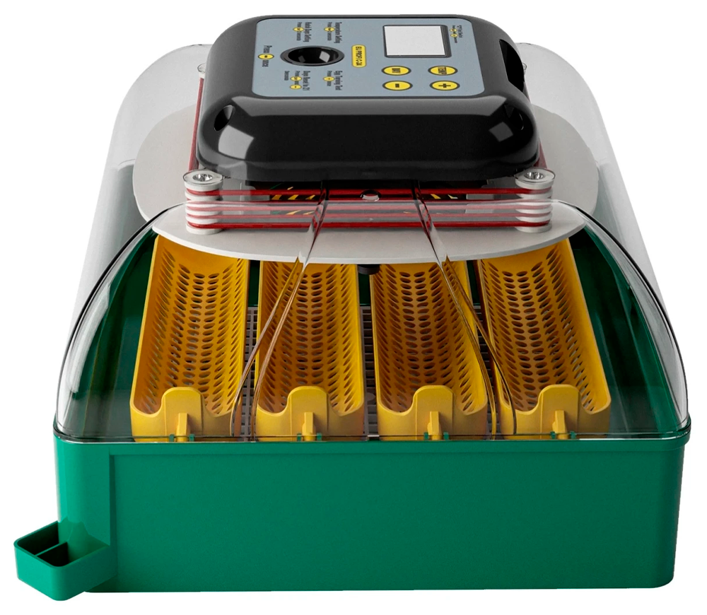 Incubator Demetra EU PROFI C-24 24 de ouă-3