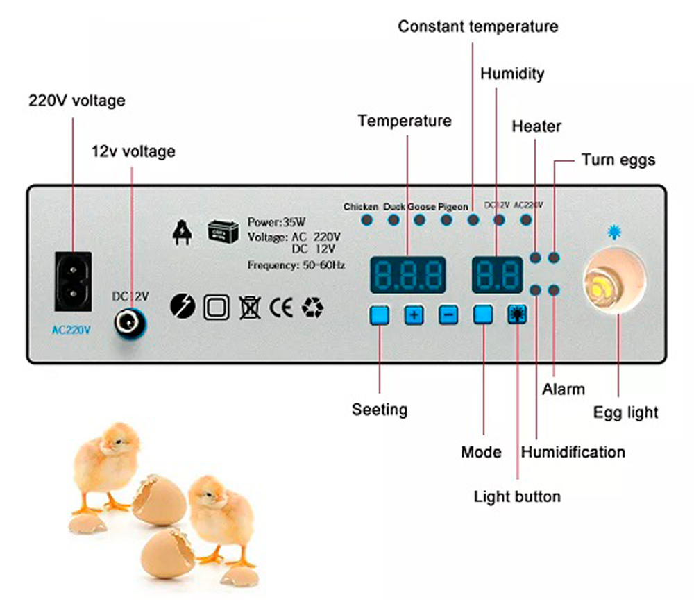 Incubator Demetra DM-176 176 de ouă-8