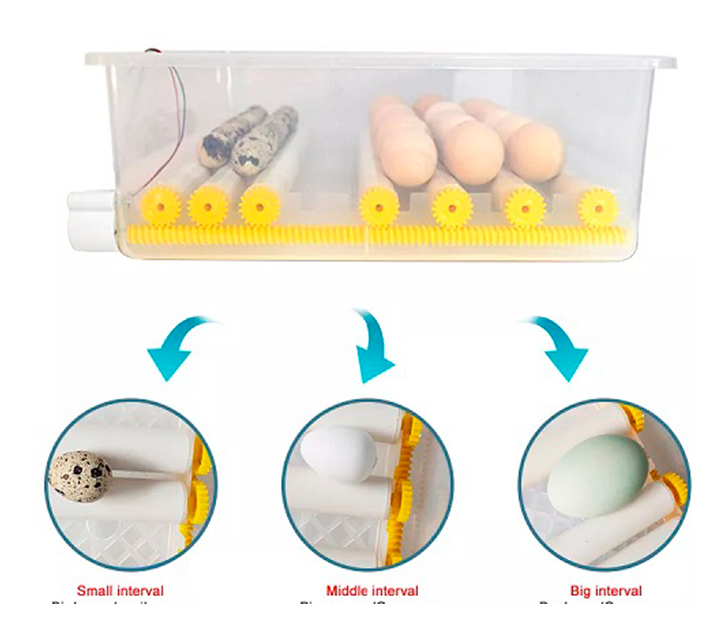 Incubator Demetra DM-176 176 de ouă-9