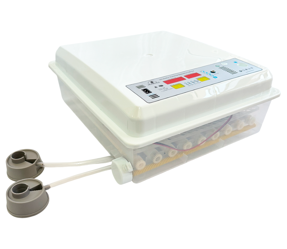 Incubator Demetra DM-64 64 de ouă