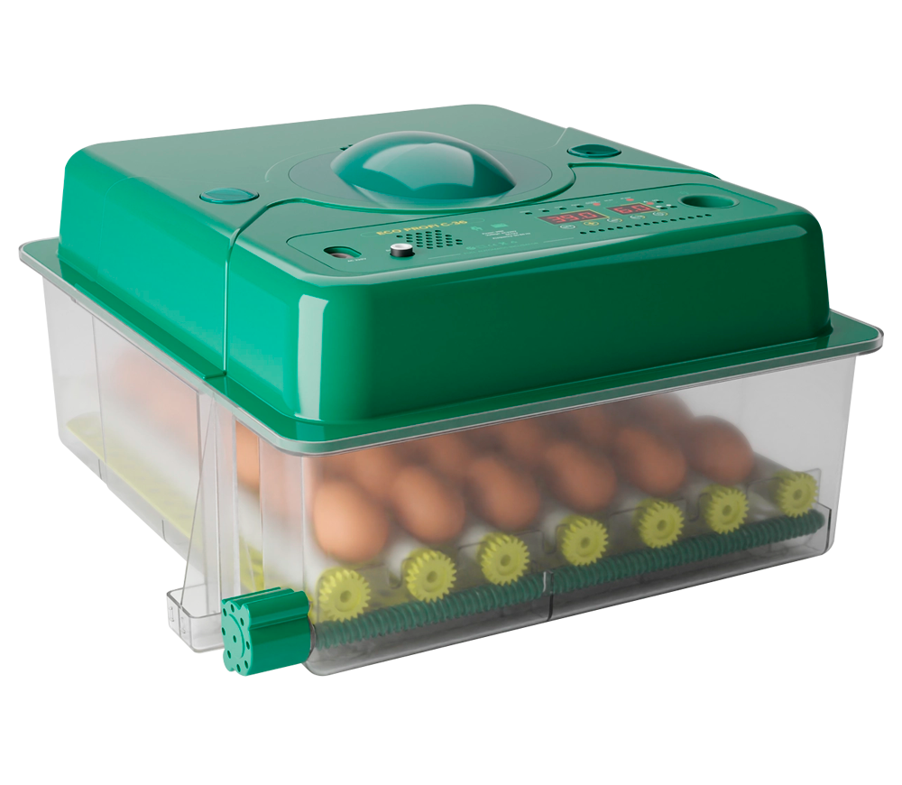 Incubator Des Champs ECO PROFI C-36