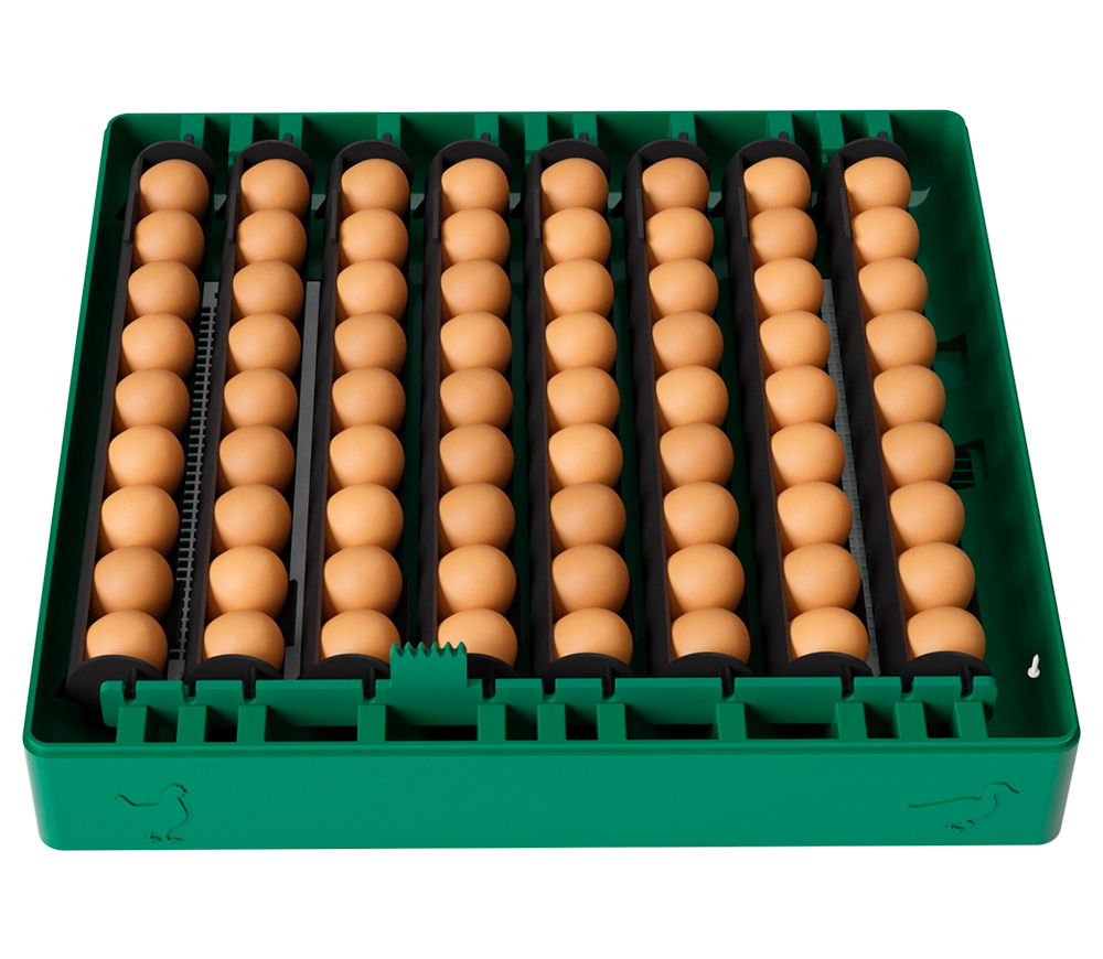 Incubator Des Champs EU PROFI C-72-5